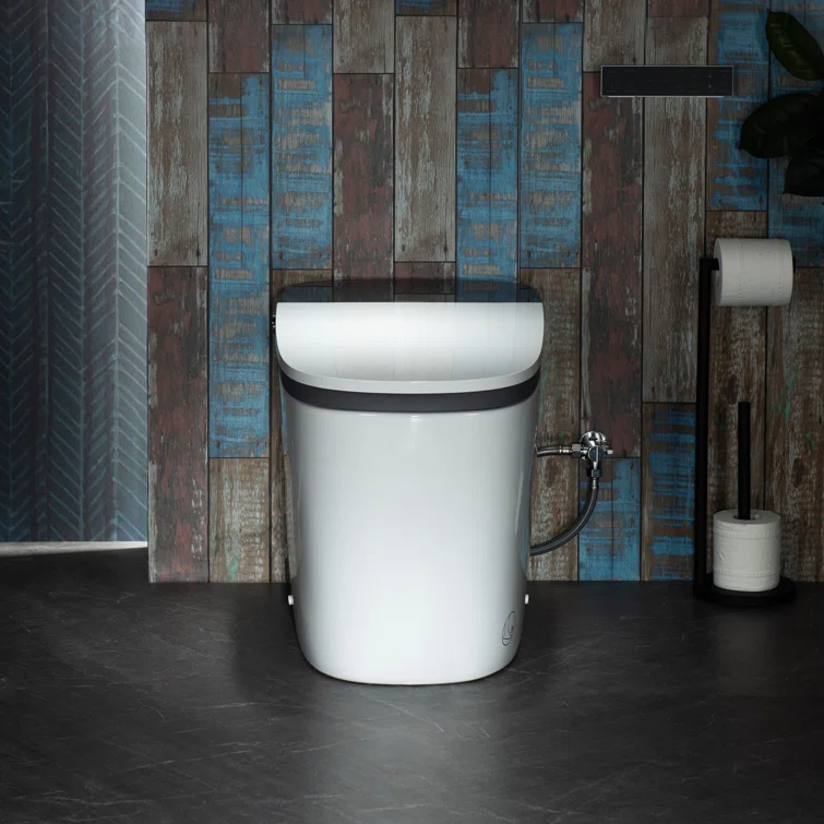 White Porcelain Elongated Dual Flush One-Piece Smart Toilet